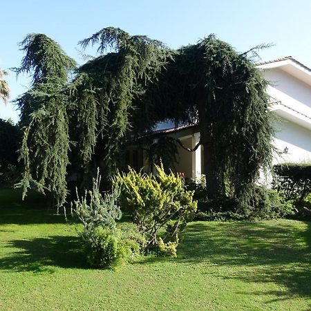 Villa Paradiso Le Rughe 外观 照片